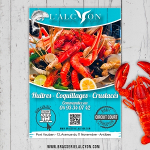 flyer alcyon antibes