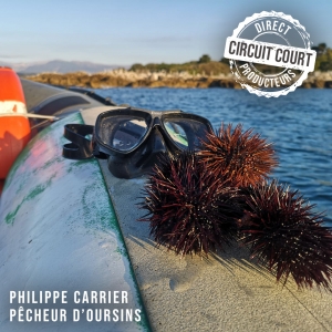 post instagram circuit court